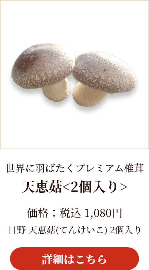 世界に羽ばたくプレミアム椎茸 天恵菇(てんけいこ)＜2個入り＞