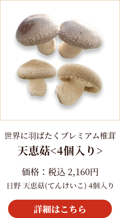 世界に羽ばたくプレミアム椎茸 天恵菇(てんけいこ)＜4個入り＞