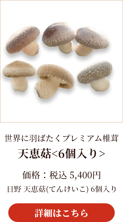 世界に羽ばたくプレミアム椎茸 天恵菇(てんけいこ)＜6個入り＞